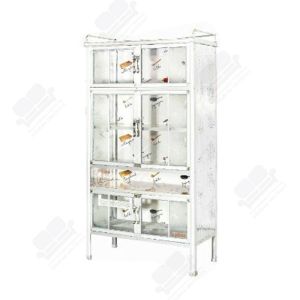 flash-sale